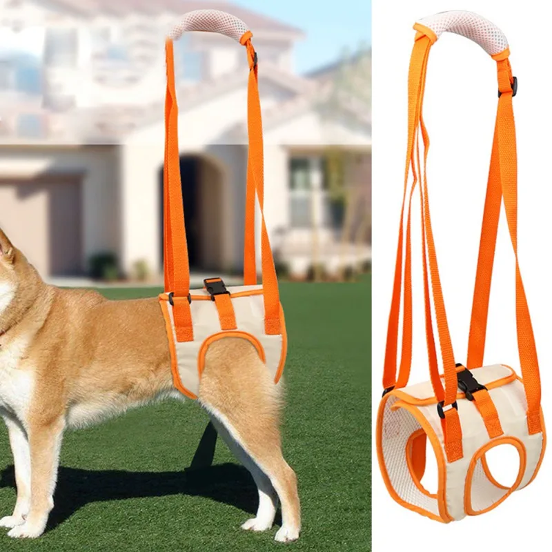 

Pet Hind Leg Auxiliary Belt Disabled Old Dog Rehabilitation Exercise Walking Large Dogs Collars Leashs Pets Balance Harness Safe