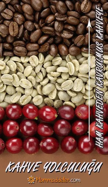 Colombia Supremo Noble Agri Arabica сырые кофейные зерна 100 г|Мужские носки| |