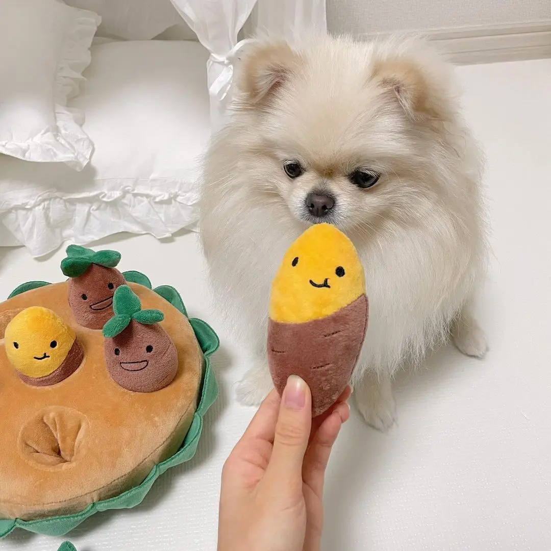 

Pet Food Funny Hidden Ins Sweet Pet Dog Toy Toy Pull Interactive Squeaky Potato Dog Toys Potato Set Sweet Dog Toy Toy Chew