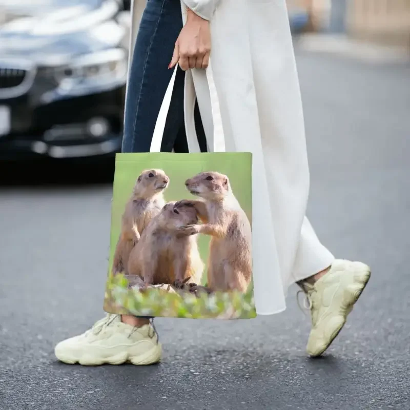 Переработанная Акварельная сумка для покупок собак Женская Холщовая Сумка-тоут