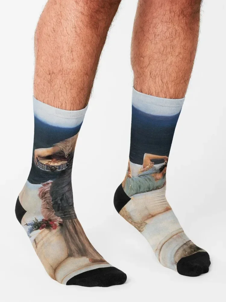 Наборы носков серебряных фаворитов-Лоуренса Альма-тамема-1903 женские носки