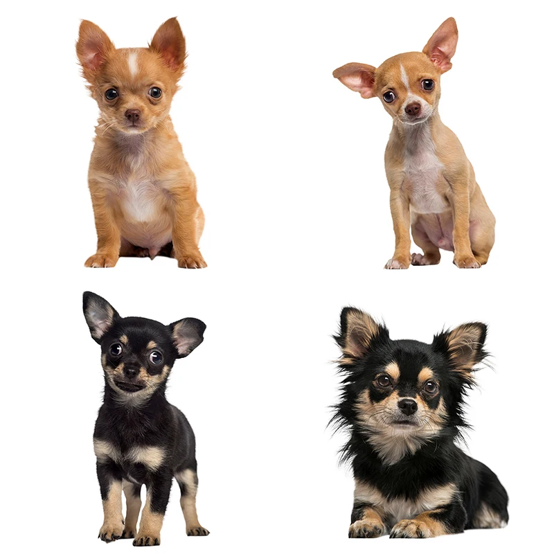 

HD pixel cute Chihuahuas Waterproof dog sticker Vinyl auto Wrap for car hood home decoration decals