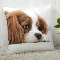 customize king charles spaniel pillow case modern home decorative pillowcase for living room 45x45cm
