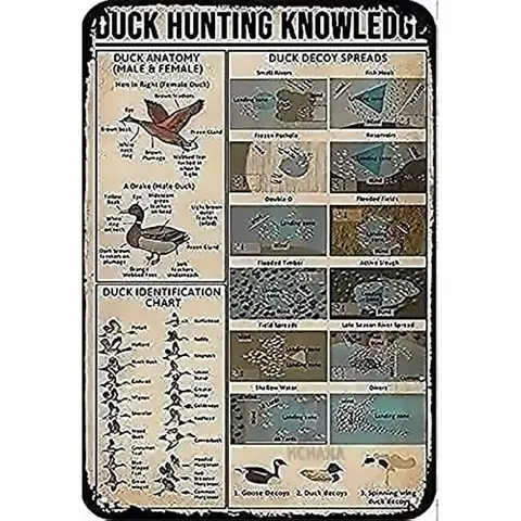 Знания о охоте на утки, металлический жестяной знак, идентификационная карта утки, ретро постер для охотничьей кабины, ванной комнаты, кухонный Декор