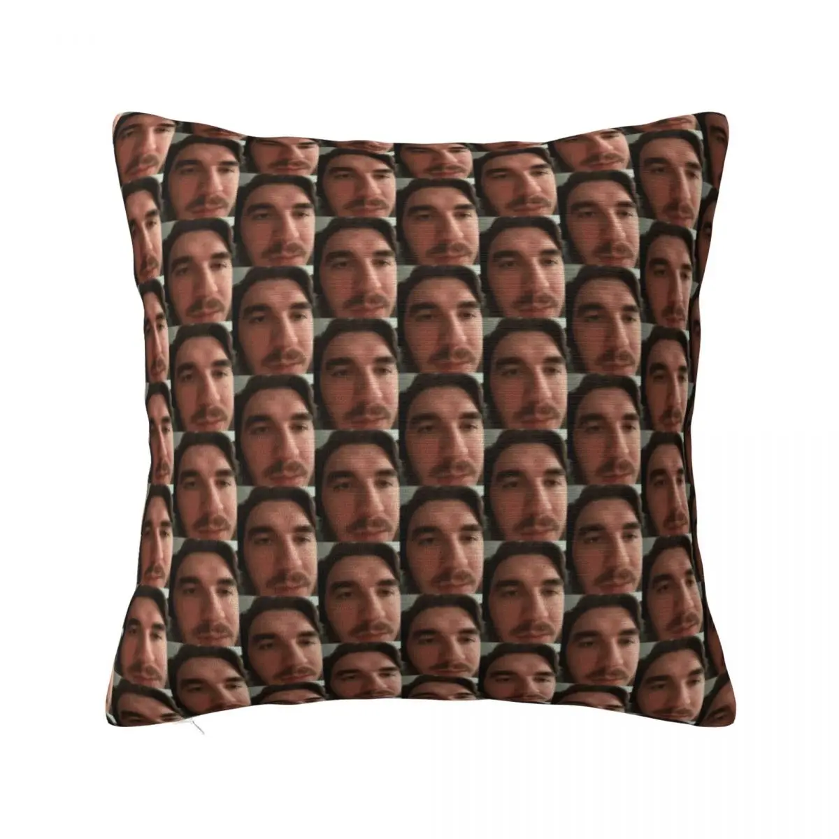 

Jschlatt Pillowcase Printing Polyester Cushion Cover Decoration Pillow Case Cover Living Room Wholesale 45X45cm