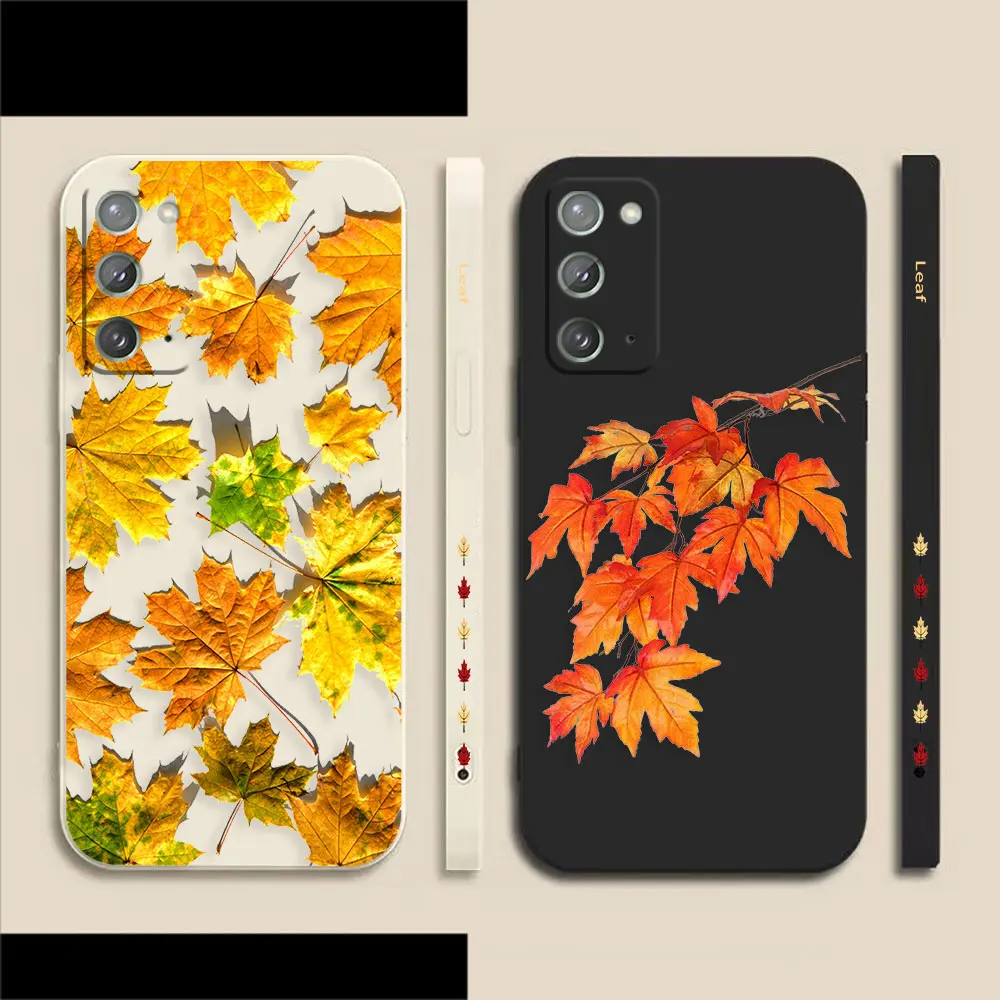 

Maple Leaf Specimen Phone Case For Samsung A80 A70 A60 A40 A20S A20 A10S A10 Note 20 10 M33 M32 Pro Plus Lite Ultra 4G 5G Case
