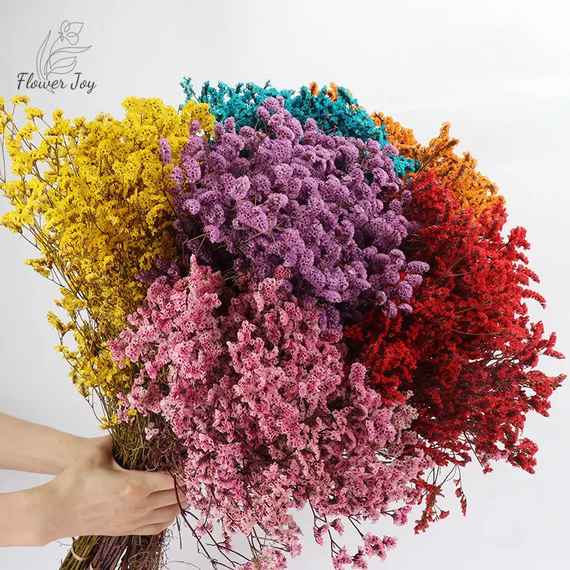 

Natural Dried Flowers Fresh Preserved Crystal Grass Eternal Garden Table Decor for Wedding Christmas New Year Modern Decoration