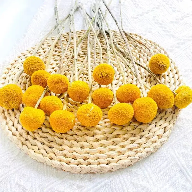 Оптовая продажа искусственная для вазы сушеные цветы в стиле бохо шары Билли