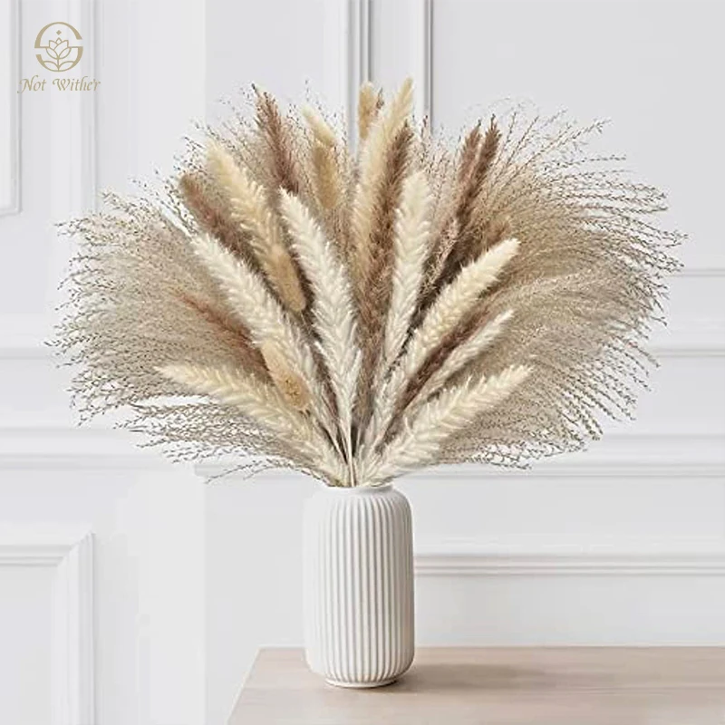 

Dried Flowers 85Pcs Bouquet Wedding Supplies Boho Home Decor White Natural Pampas Grass Reed Bunny Tails DIY Bouquets Gifts