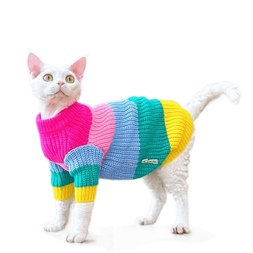 

Gradient Rainbow Thick Knit Sweater Sphynx Cat Clothes Winter Warm Sphynx Cat Outfits Conis Thickened Hairless Cat Sweater