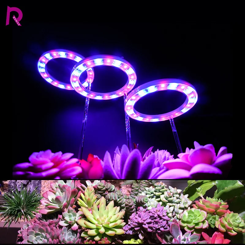 1/2/4PCS LED Angel Ring Grow Light DC5V USB Full Spectrum Phyto LED Lamp For Plants Flowers Greenhouse Seedlings Growth Lights