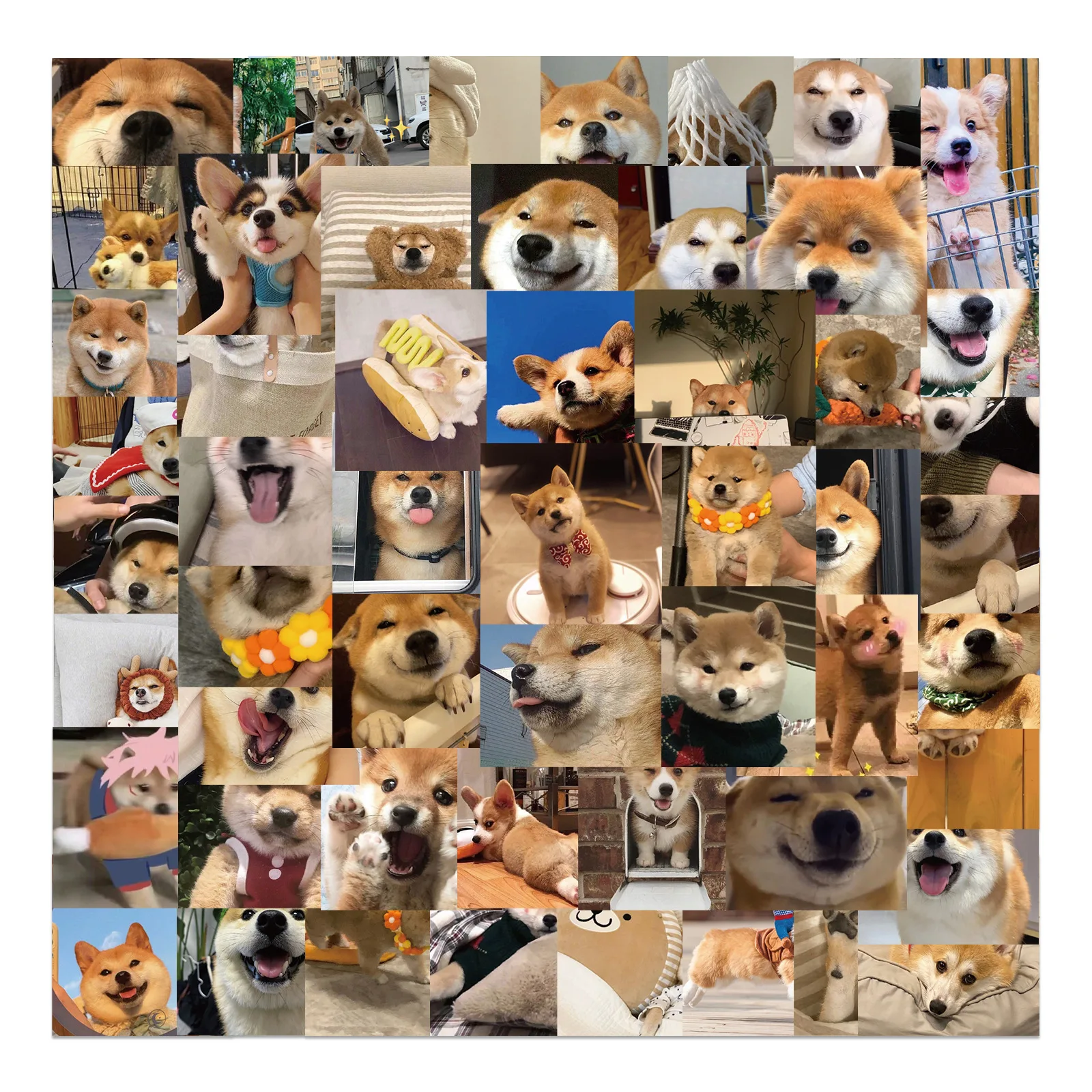 

55pcs Kawaii Cute Lovely Shiba Inu Akita Dog Stickers DIY Wall Diary Scrapbook for Luggage Mobile Phone Sticker