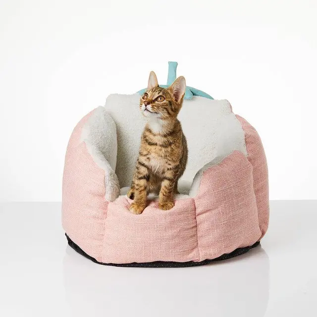

Bed, Bed for Cats, Cat Bed, Durable Pet Bed, Easy Wash Pet Bed, Soft Pet Bed