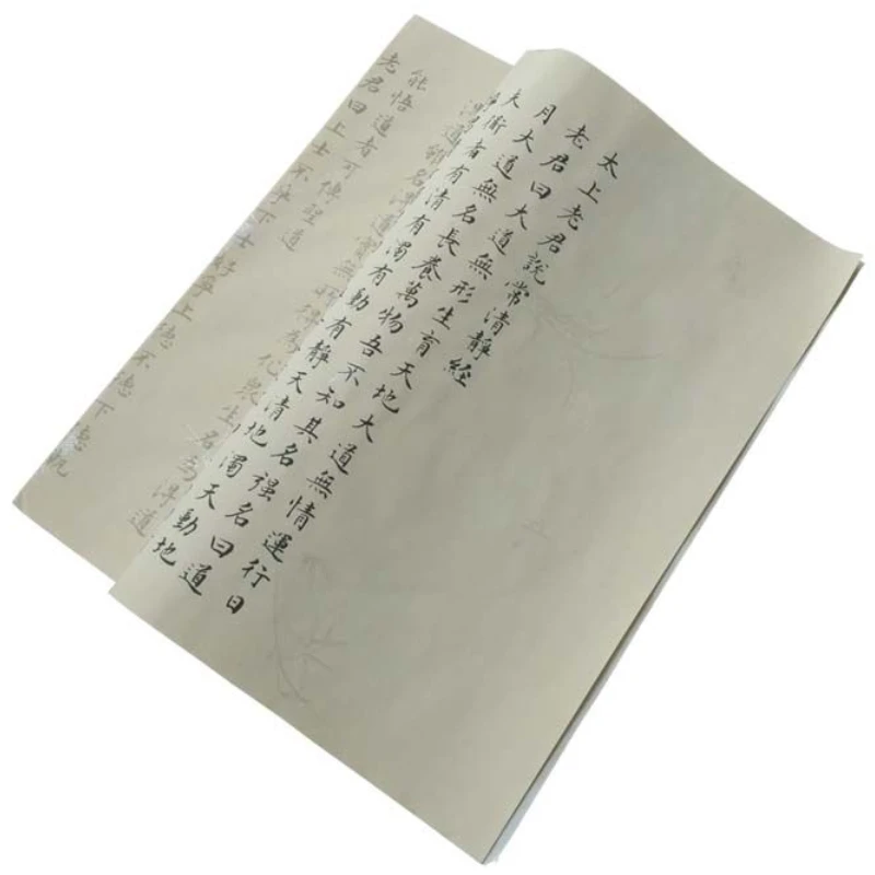 Wen Zhengming Small Regular Script Copybook Brush Pen Calligraphy Chinese Taoist Scripture Copying Xuan Paper Notebook