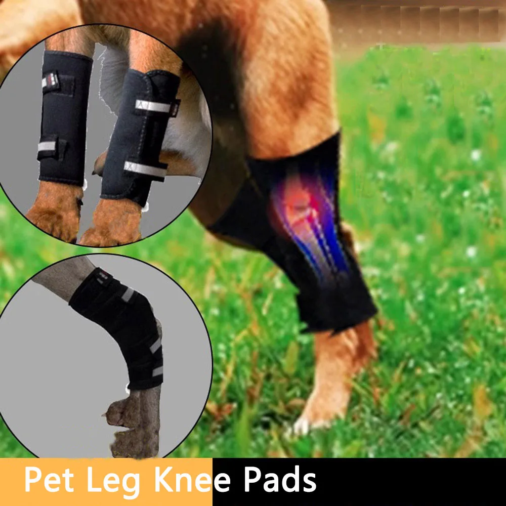 

Pet Leg Knee Pads Dog Arthritis Protection Knee Fracture Fixed Anti-Licking Wound Teddy Cat Rehabilitation Accessories
