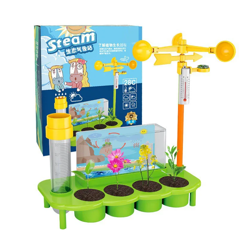 

Weather Station Kids Montessori Toys Plants Growth Experiment Teaching Aids Educational Toys For Children STEAM Science Toys