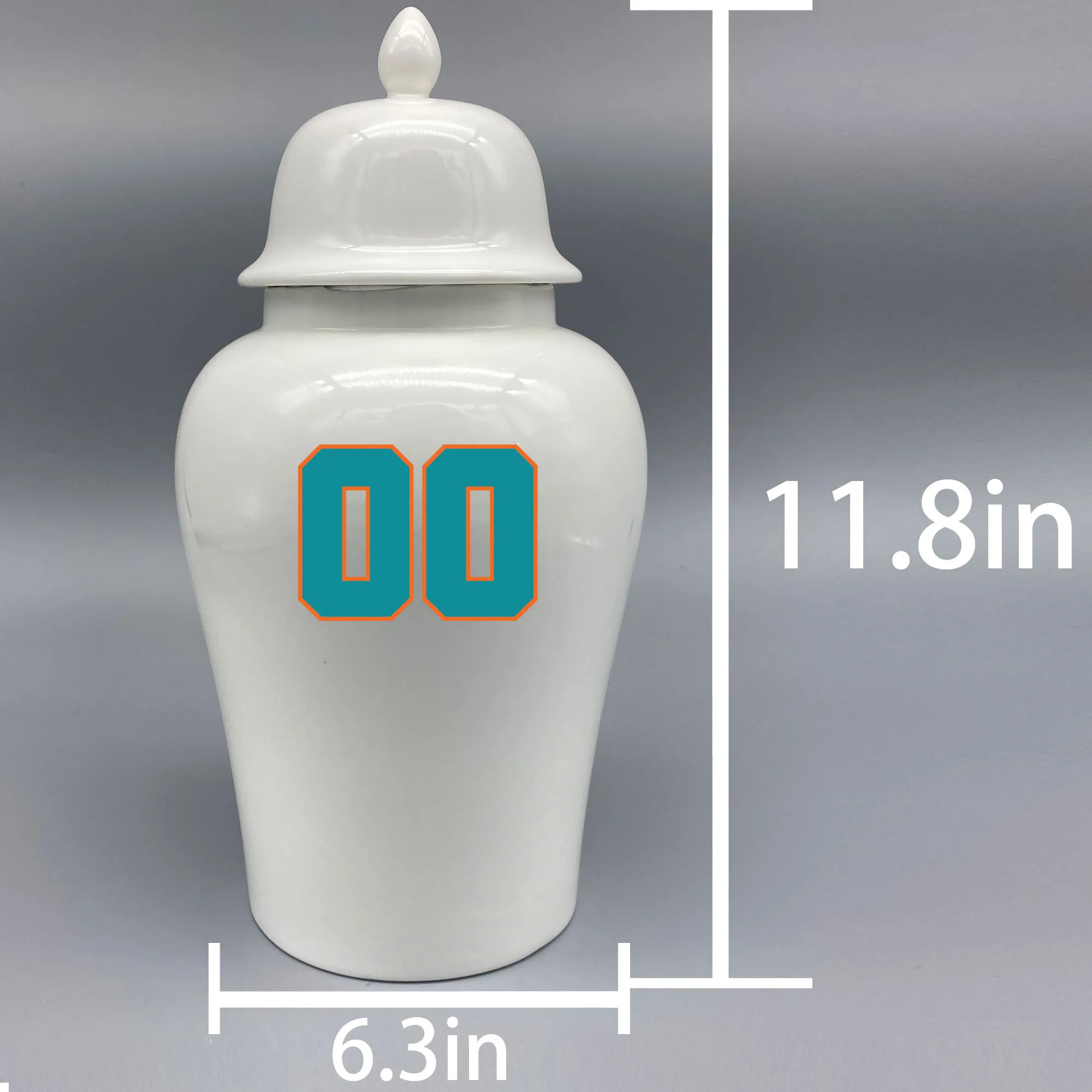 Большая урна для логотипа Майами дельфинов. Пожалуйста пришлите мне информацию