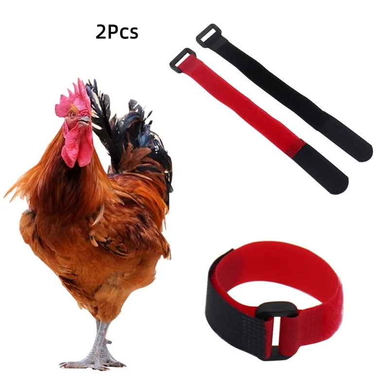 

2pcs Chicken Crowing Prevention Collars Duck and Goose Rooster Collar Noise Neck Strap Pet Supplies Pet Accessories