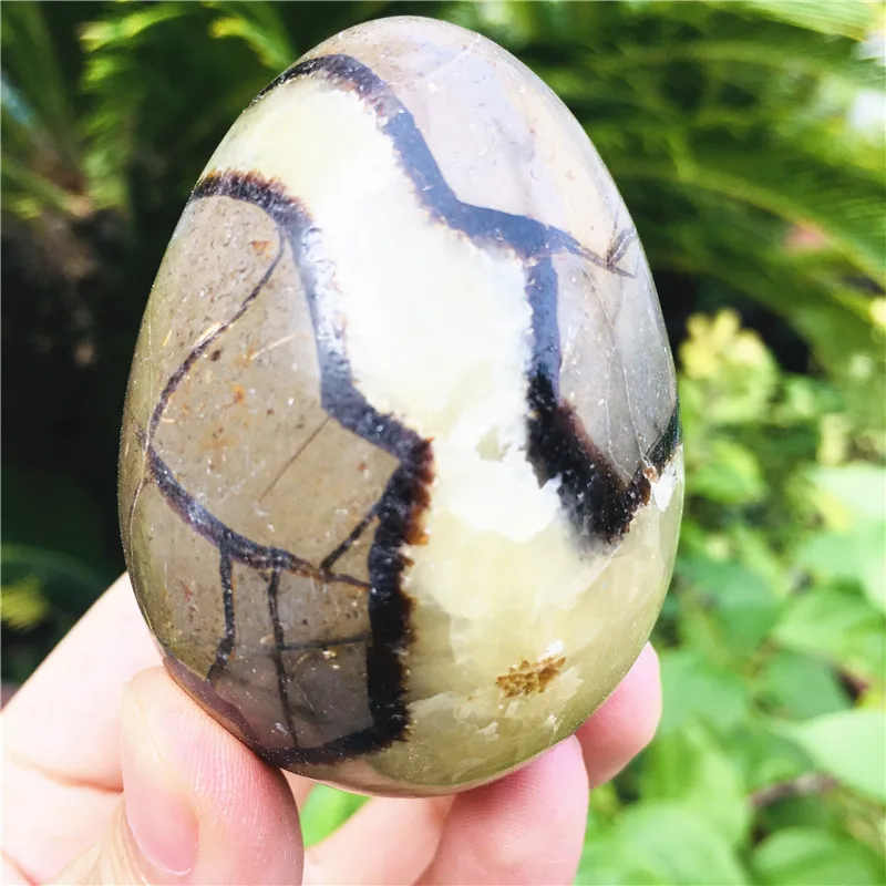 

180-200g natural madagas mineral eggs, turtle back stone eggs home decoration+base