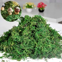 20g50g100g high quality artificial moss simulation fake green plants moss home decorative wall diy micro landscape accessories