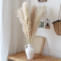 80cm natural dried pampas grass bouquetboho home decor bouquetdried flowers for office decorbouquet for wedding decor