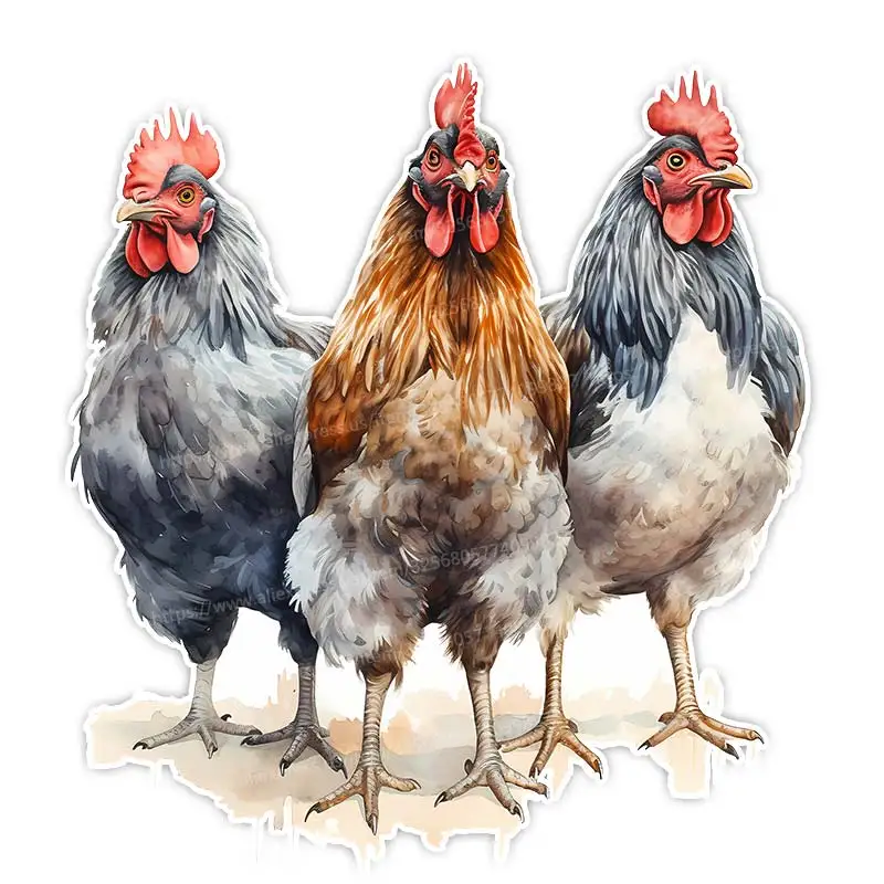 

Съемные наклейки на стену животные Farm Rooster Hen M1119