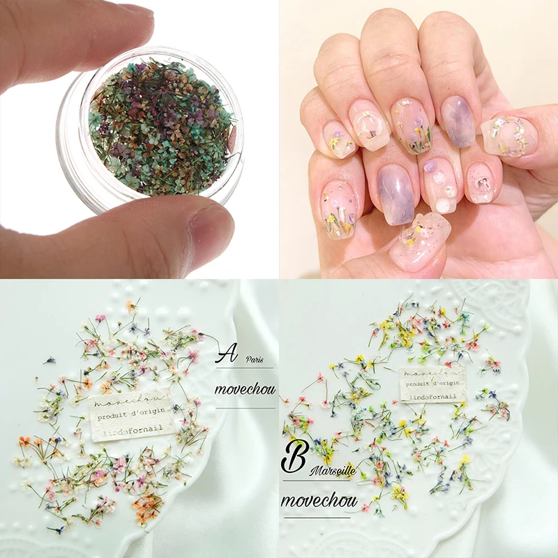 

Кружево, искусство, сделай сам, украшение, стильный дизайн ногтей, изысканные красочные сушеные прессованные цветы, 3D Подвески для ногтей