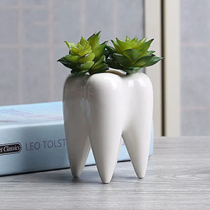 

White Tooth-shaped Small Flower Pot Ceramic Succulent Plant Pot Cultivation Flower Pot Home Decoration Bonsai Potted Green Plant