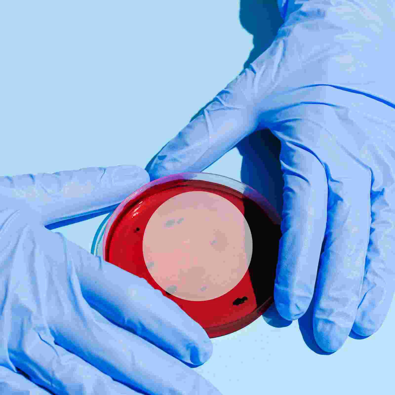 

10 Pcs Flat Watch Glasses School Clear Watch Glasses Crystal Glasses