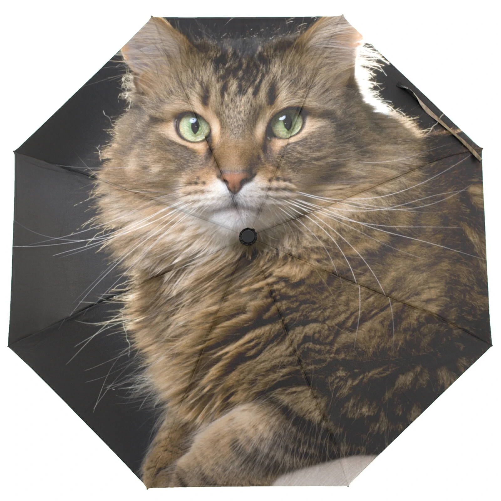 Компактный портативный зонт для путешествий полностью автоматический зонтик с