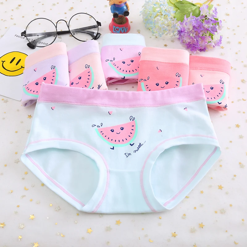 

4pcs/lot Children Underwear 2021 New Girl Boxer Cotton 2-16 Year Kids Baby Cartoon Panties Big Girl Underwear Bragas Calcinhas