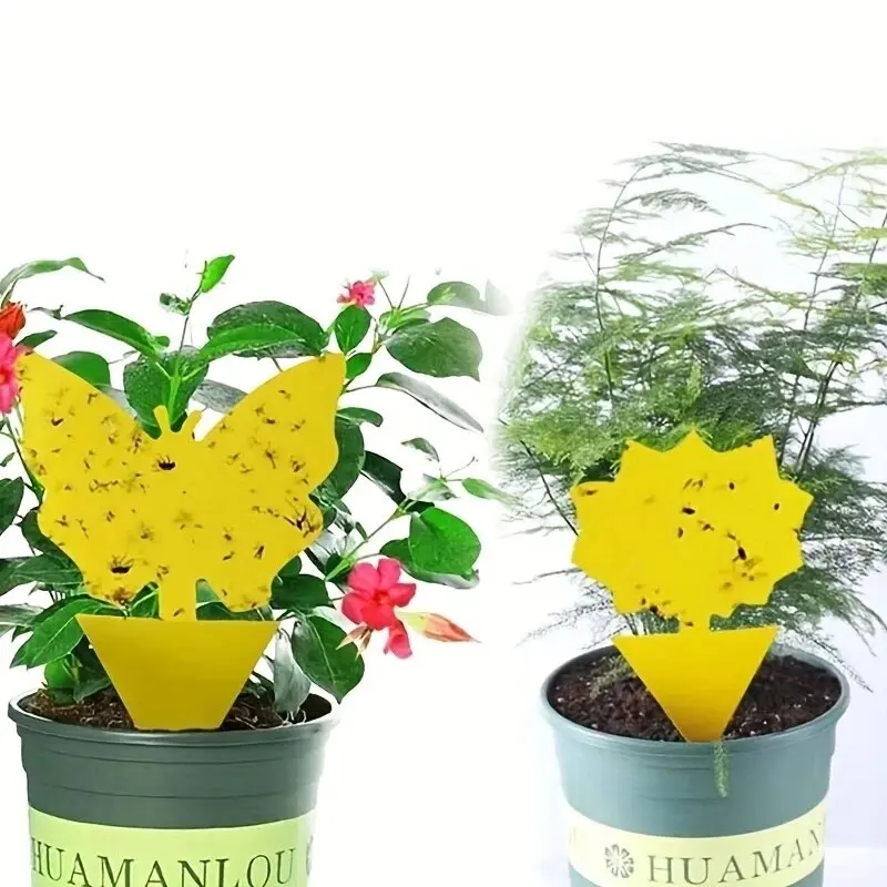 10 шт. ловушка для насекомых и мух