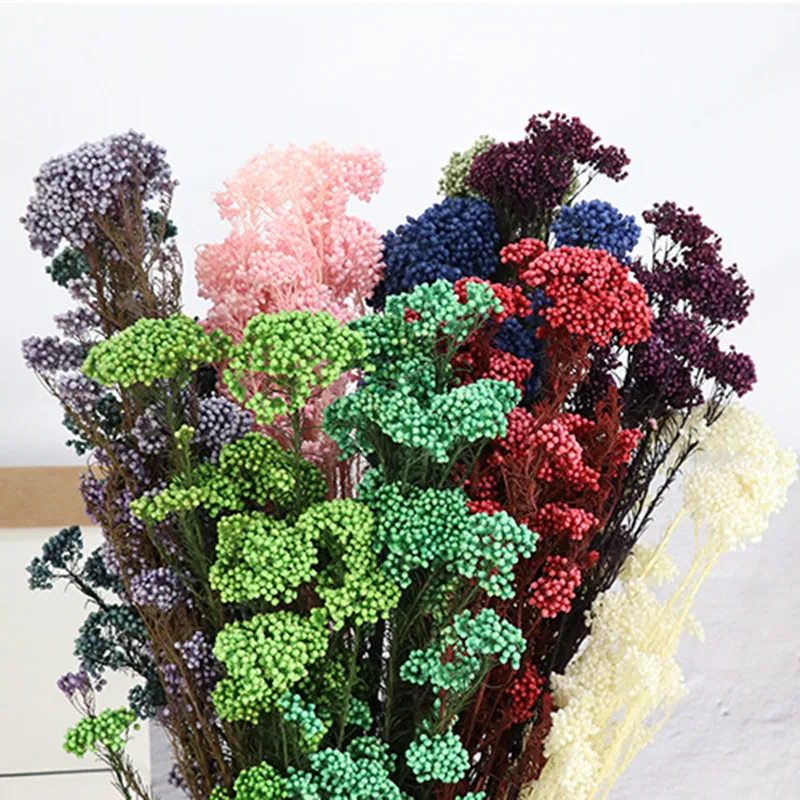 

50g Atural Millet Fruit Dried Flower Artificial Flowers For Wedding Decoration Valentines Day Gift For Boyfriend Country Weddi