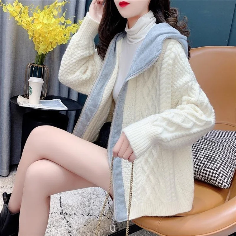 

DAYIFUN Chic Knitted Cardigans Women's Autumn 2022 New Solid Zipper Hooded Sweaters Loose Long Sleeve Sweater Coat Fashion