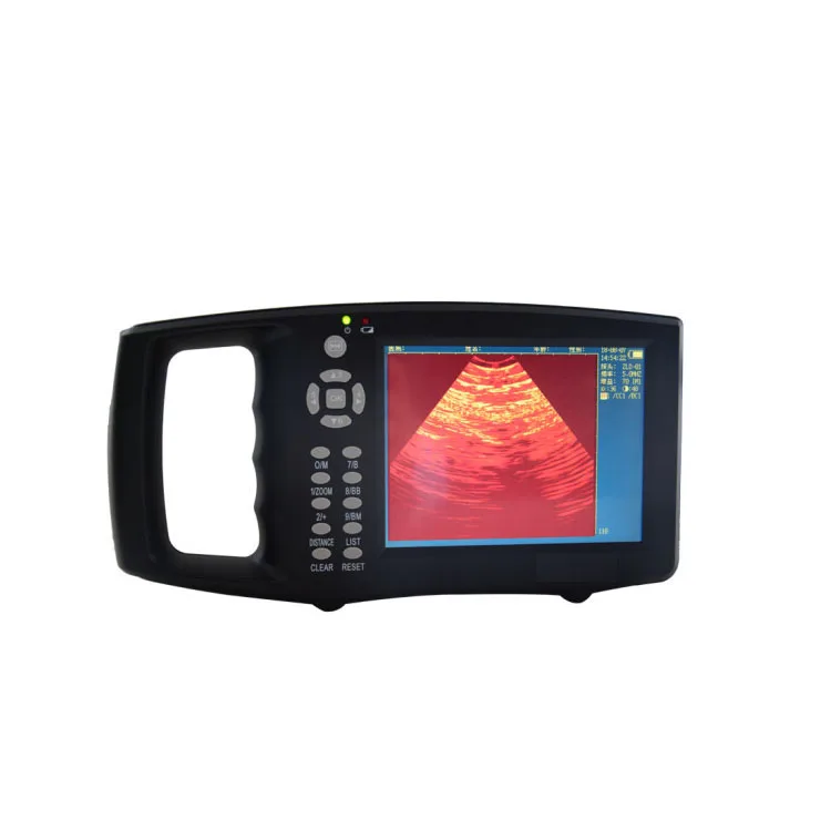 

High Accurate Veterinary Pig Sow Swine B Ultrasound Detector Animal Cattle Sheep Pregnancy Tester Ultrasound Scanner