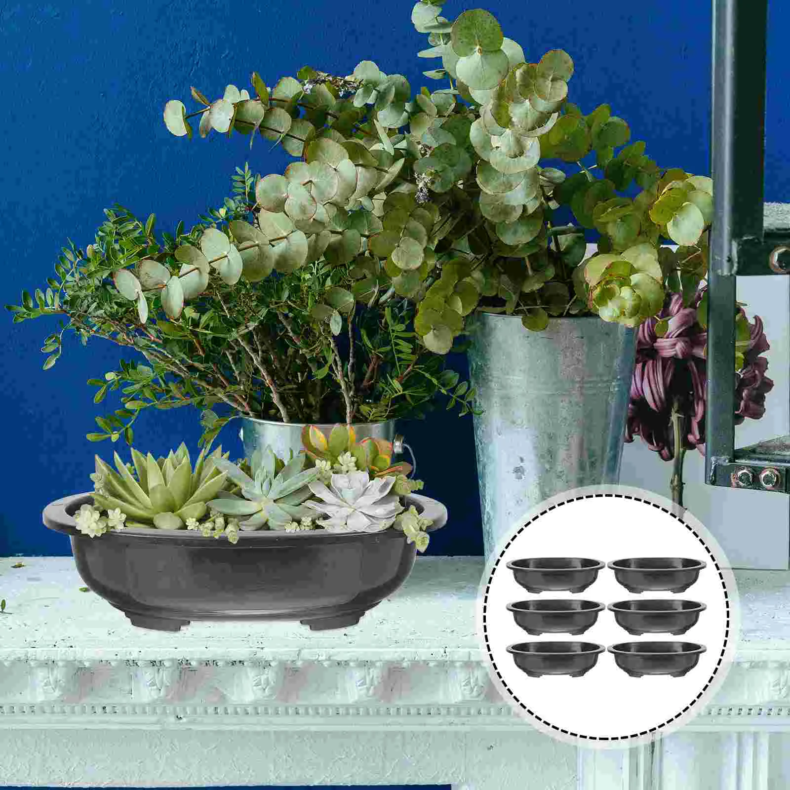 

6 Pcs Flower Pot Bonsai Pot Square Vase Starting Pot Tray Outdoor Pot Container Pp Holder