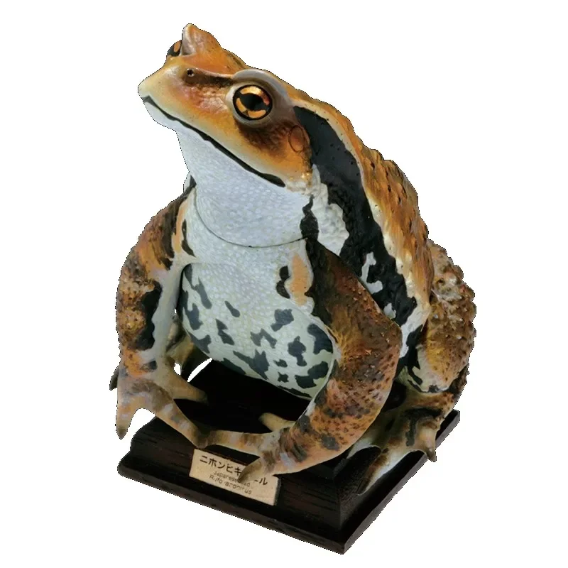 NATURE TECHNI ЦВЕТ Жаба Серия Gashapon Игрушки Имитация Модель Украшения Коробка ФИГУРКА
