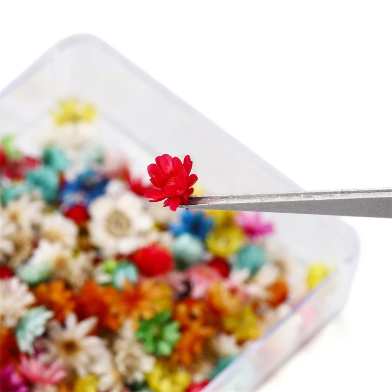 

M2EA Dried Flowers for Resin Molds,Natural Dried Pressed Flower for Card Making Supplies Resin Jewelry Soap and Candle Making