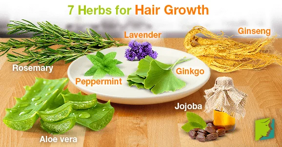 Extreme Hair Growth Oil Chebe Extra Strength Formula with Amla Coconut for Receding Hairline DHT Blocker |