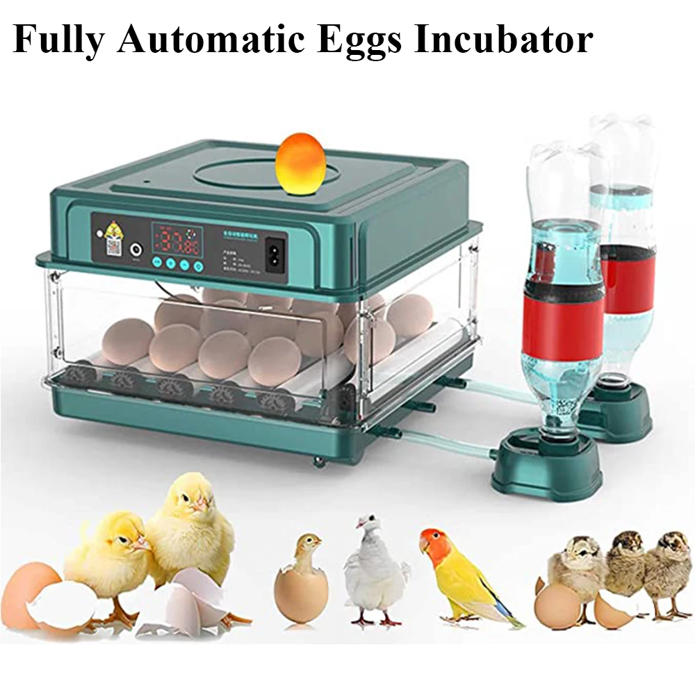 

Egg Turning Egg Chicken With Humidity Hatcher Duck Quail Farm 10/15 Brooder Incubator Incubators Bird Control Eggs Automatic And