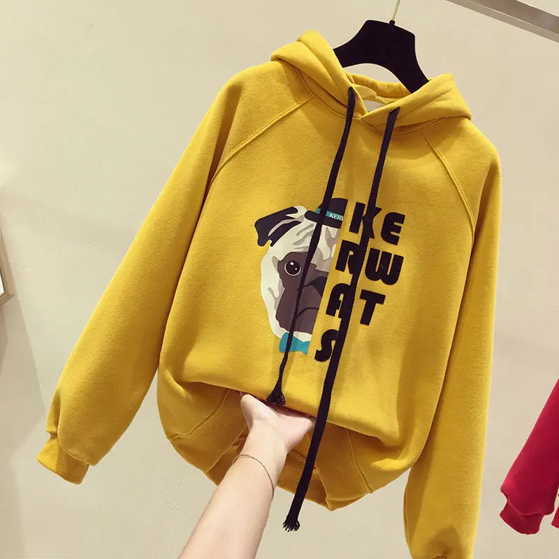 

Women Sweater New Korean Hooded Loose Student Autumn