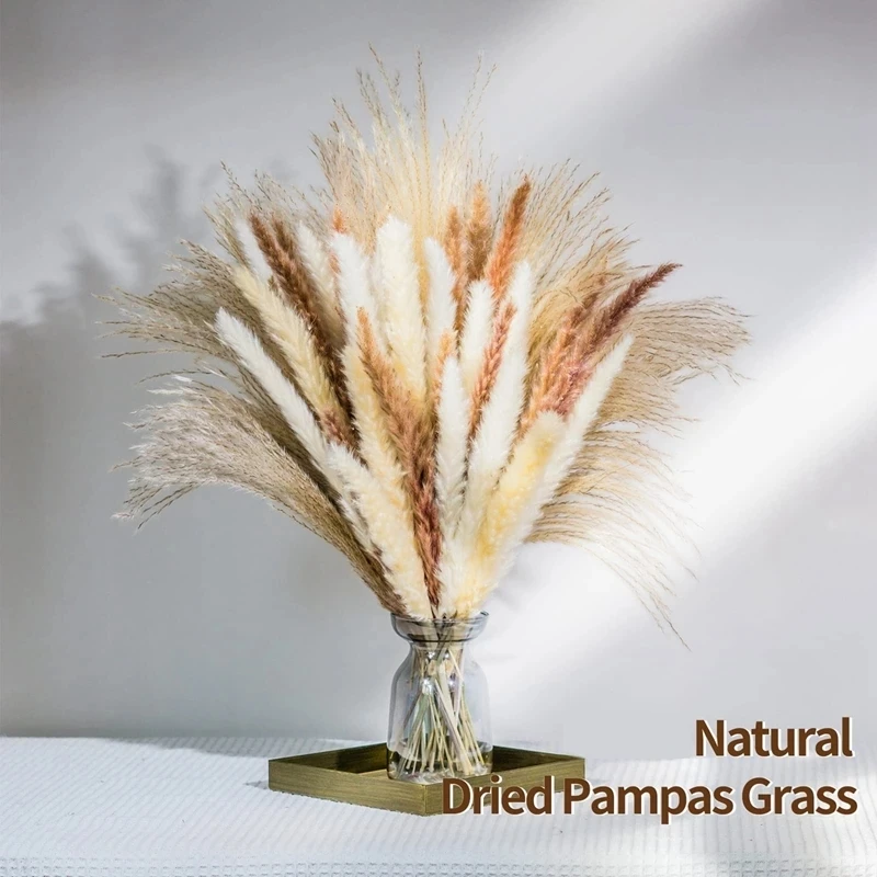 

Natural Pampas Grass Fluffy Dried Flowers Bouquet Flowers Arrangement for Wedding Centerpiece Bunnty Tail Grass Home Decorations