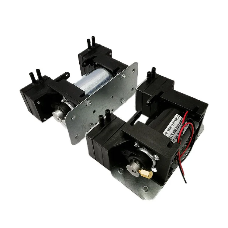 

Mini DC 12V/220V High Positive Negative Pressure Vacuum Pump Beauty Instrument Mute Double Head Diaphragm Pump Micro Air Pump