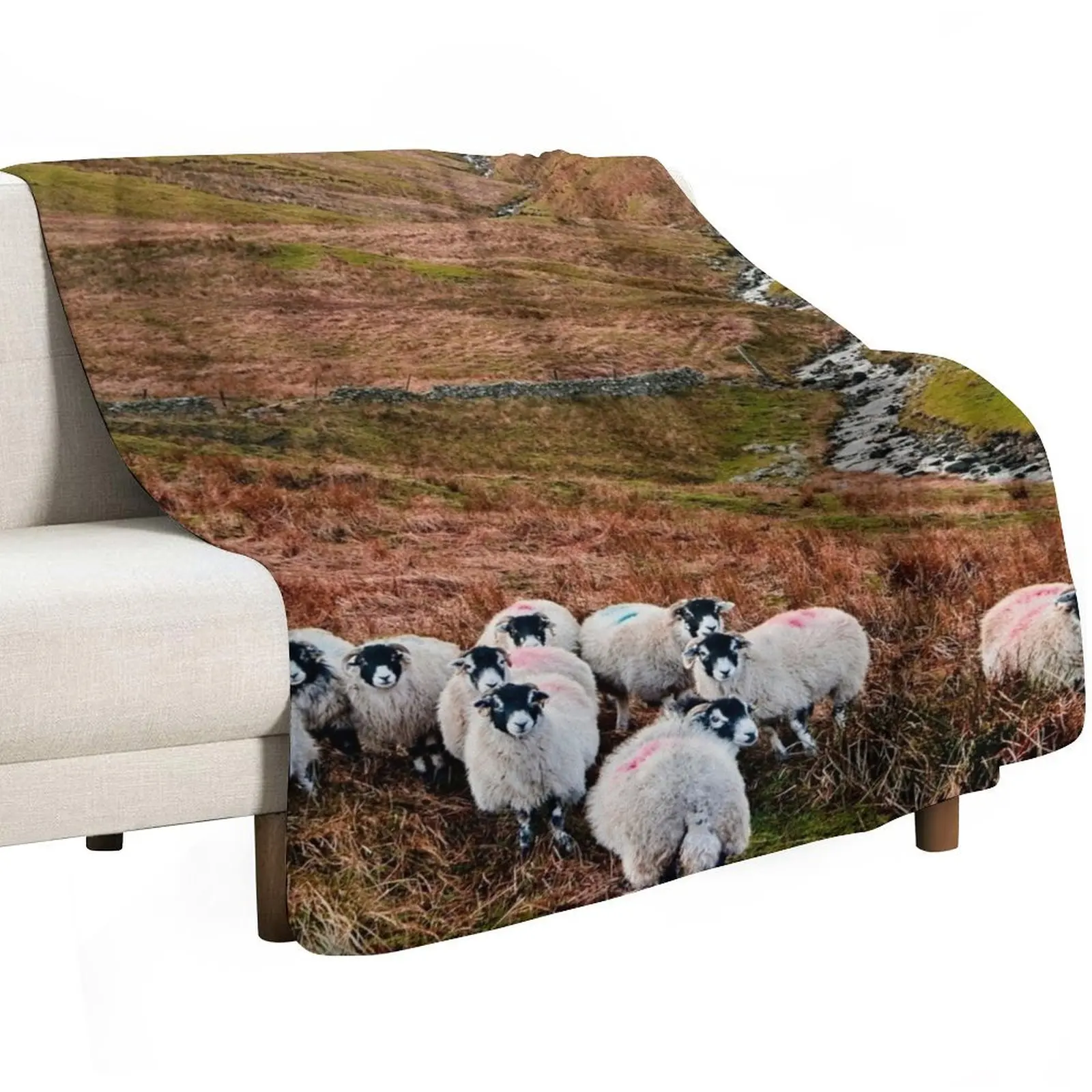 Фото Плед Swaledale Sheep in Weardale, устойчивый к выцветанию, прочный плед №2