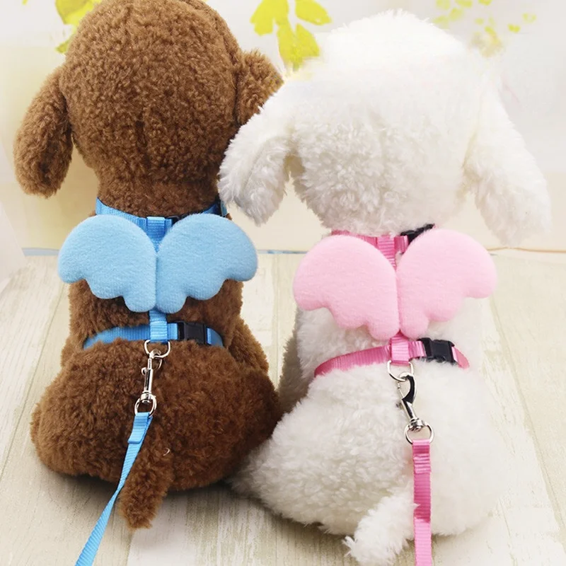 Pet Harness with Angel Wing Small Pet Dog Rabbit Cat Chest Set Cute Collar Safety Belt Adjustable Outdoor Walking Leash Rope