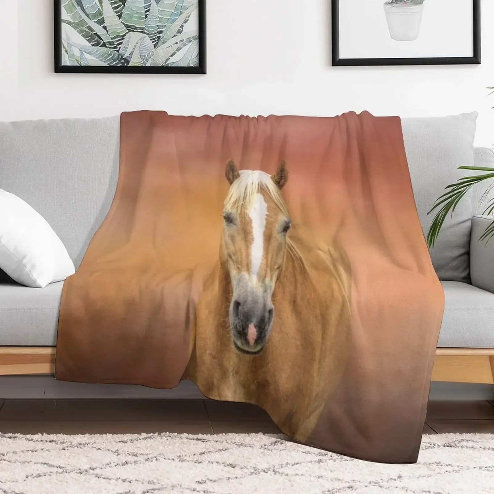 Любимое одеяло для лошадей одеяла диванов милые