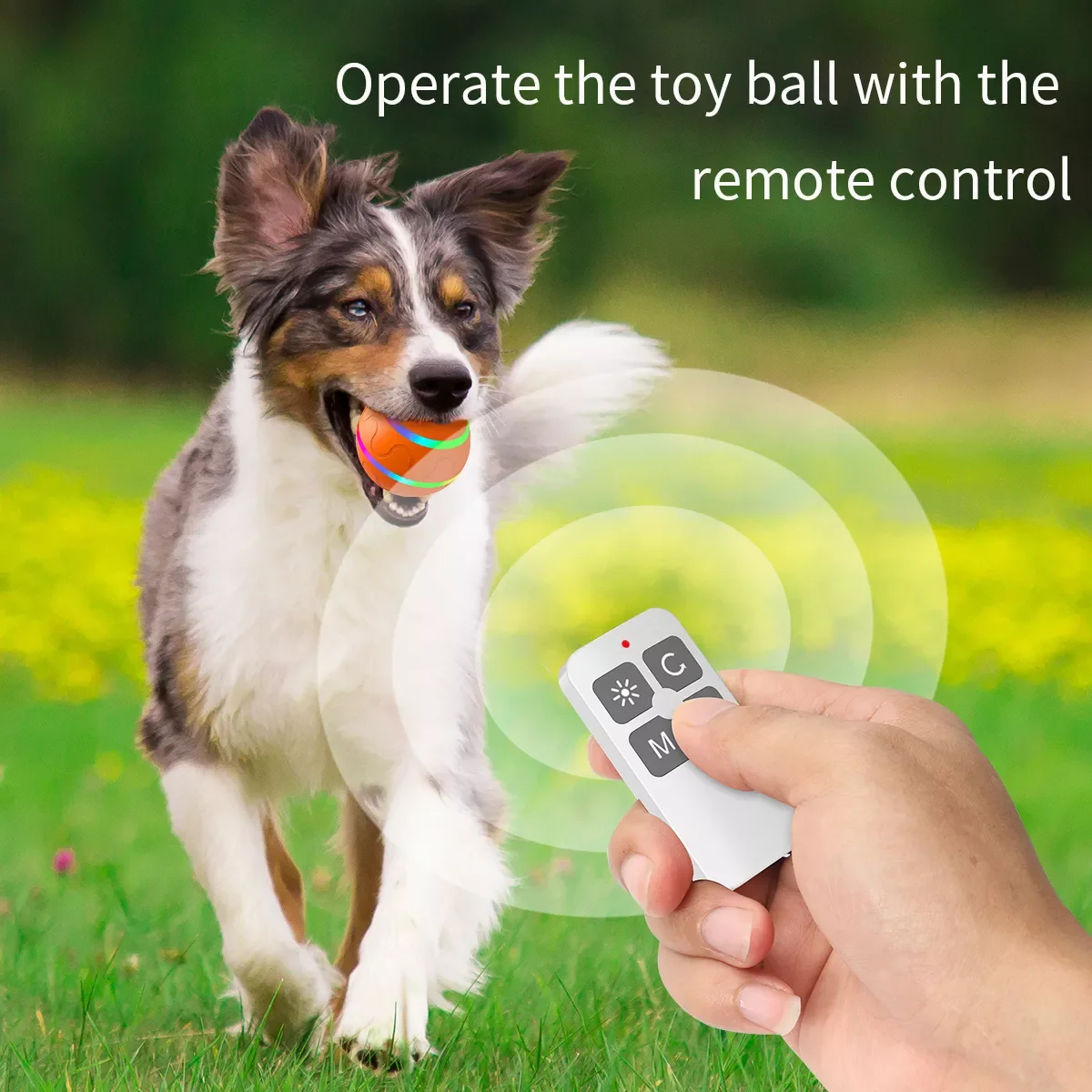 

Smart Remote Cat Ball Toys with Light Ball Training Automatic Rolling Ball Cat Interactive Toys For Cats Indoor Playing