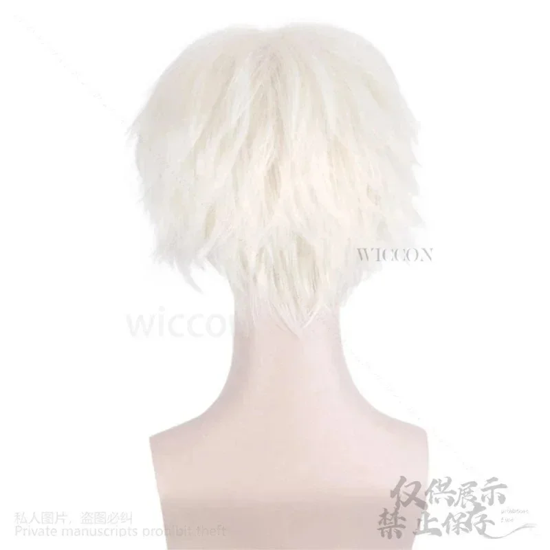 Фото A;3\v,7'd/Аниме BNA BRAND NEW ANIMAL OGAMI SHIROU Синтетические прямые короткие парики для косплея для мужчин и женщин Высокое качество;5'b\8/ №2