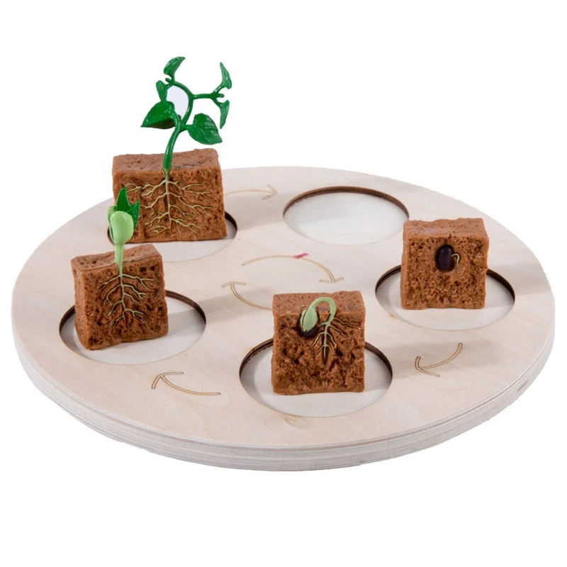 

Animal/Plant Figurine Puzzle Life Cycle Learning Tangram Toddler Montessori Toy