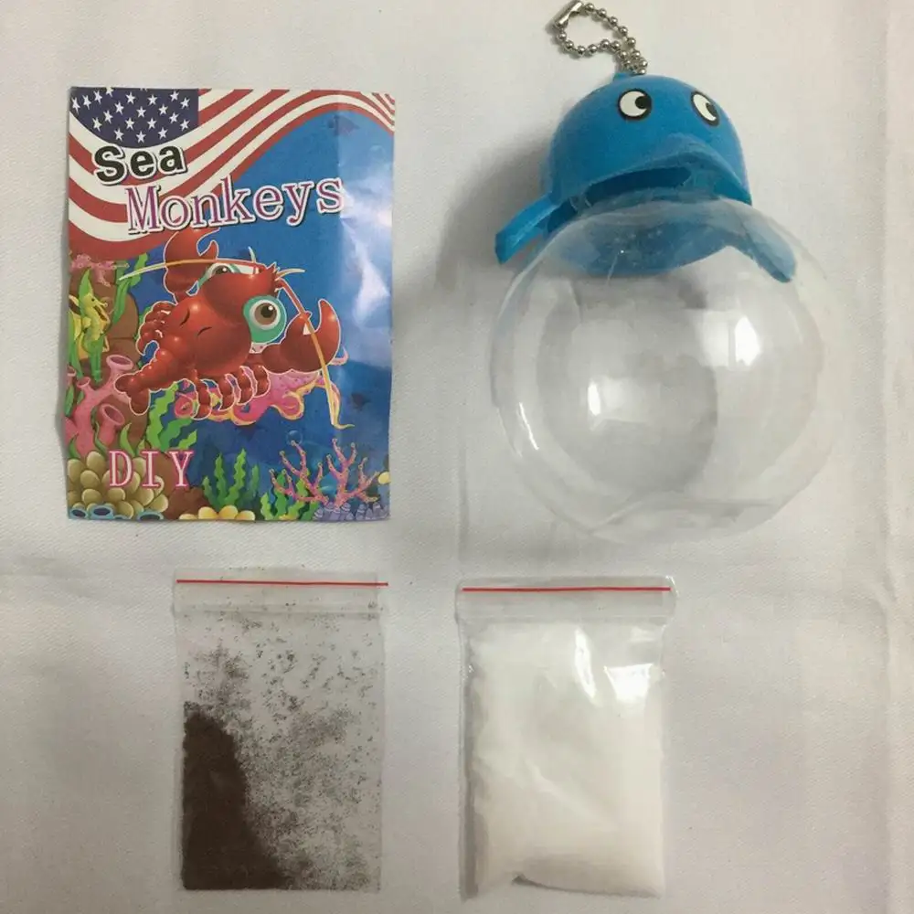 Sea Monkeys Egg Monkey Eggs With An Aquario Aquarium Kit Magic Living Animals Fairy Brine Shrimp Artemia Salina TOY FOR CHILD